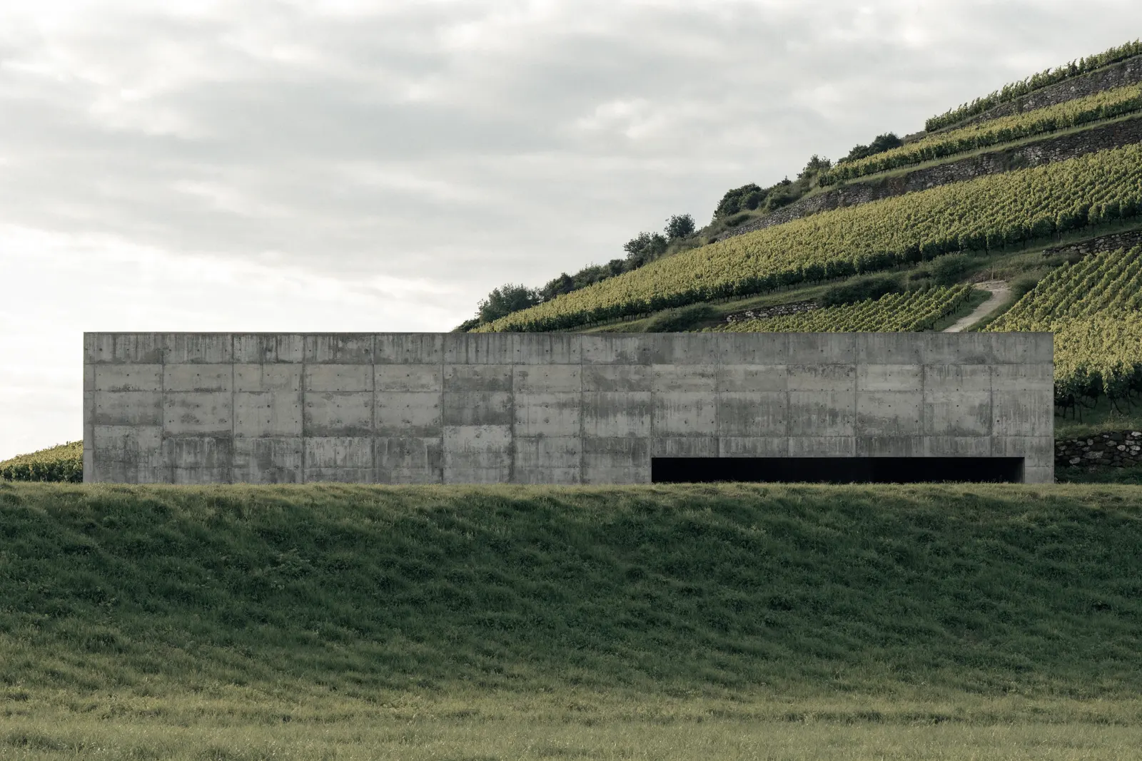 The approach to THE PLINTH — a board-formed concrete mass set into the hillside, a low slot of shadow marking the entrance.